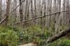 DSC06569k.jpg