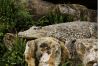 DSC06603k.jpg