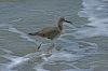 DSC07755n~0.jpg