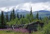 Alaska035.jpg