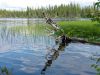 Alaska064.jpg