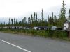 Alaska206.jpg