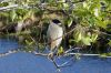 DSC02164k.jpg