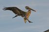 DSC02507k.jpg