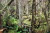 DSC06574k.jpg