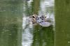 DSC06608k.jpg
