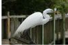 DSC06649k.jpg