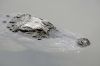 DSC06652k.jpg