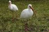 DSC06687k.jpg