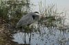 DSC07238k.jpg