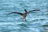 DSC07479k.jpg